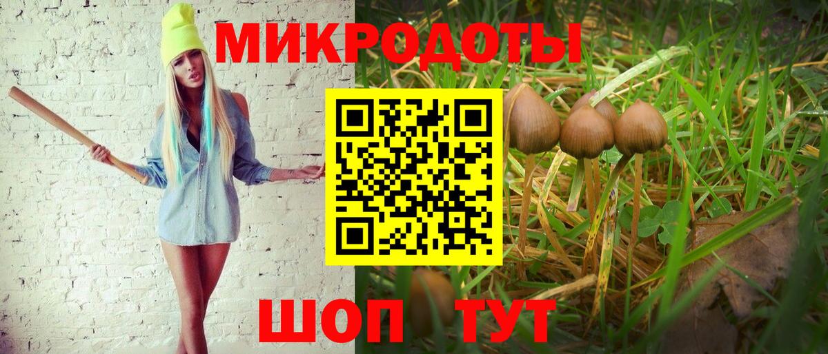 Наро-Фоминск  Псилоцибиновые грибы ЛСД  Вход с VPN 